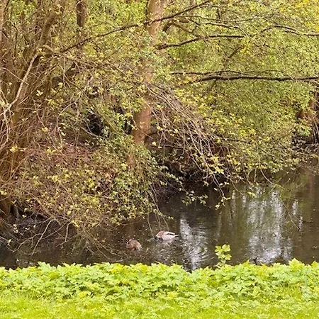 Appartement Wattknistern *